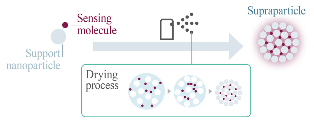 Suprapartikel via Sprühtrocknung