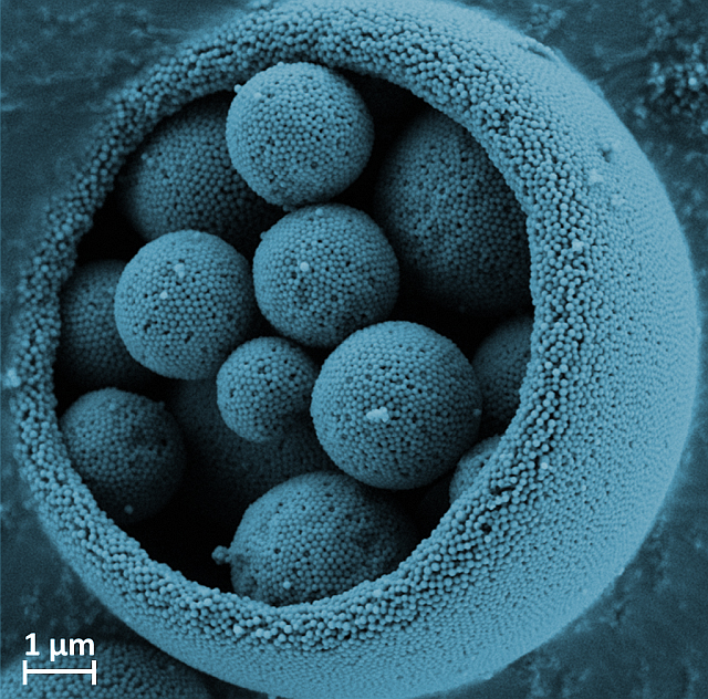 Nanostructured microparticles made by spray drying.